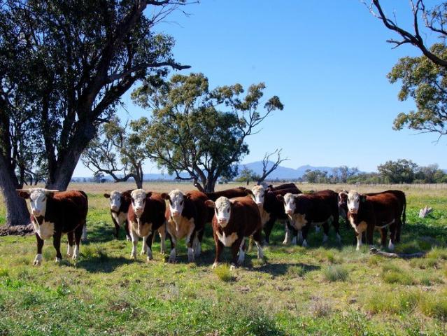 Strategic Location, Productive Soils, Exceptional Potential