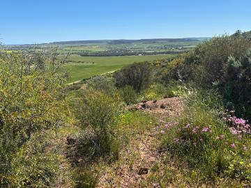 Yetna, Chapman Valley, Peak Island, Western Australia
