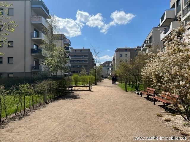 Striesen Stadtgarten 3 Zimmer Wohnung mit Terrasse frei ab 01.11.26
