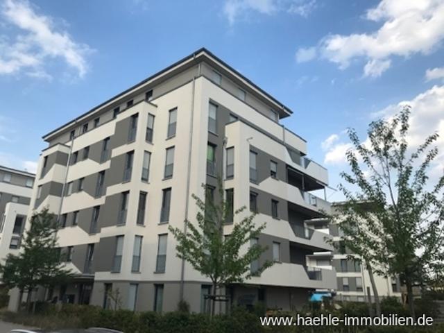 Striesen Stadtgarten 3 Zimmer Wohnung mit großem Balkon frei ab 01.10.2026