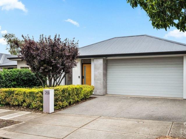 Striking contemporary design with soaring north facing raked ceilings & sun drenched living