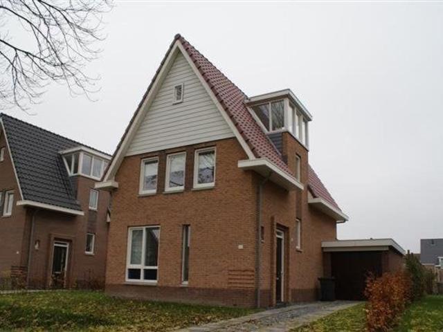 Strijpweg 22, Villa in Tull En 't Waal B&S Rental Service