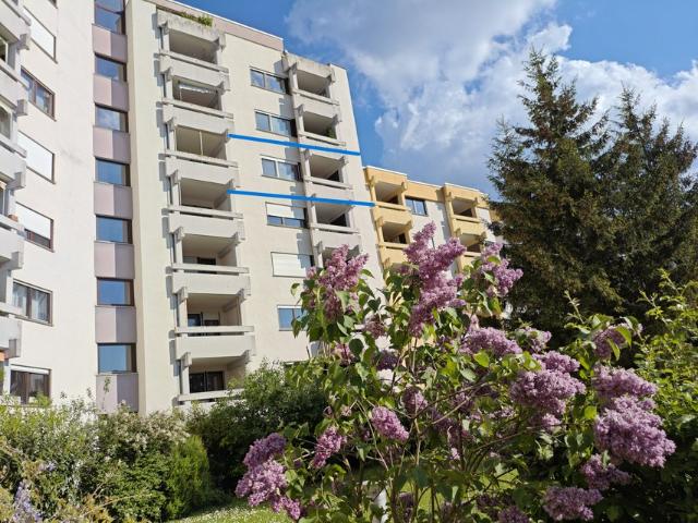 Stuttgart 2 Bedroom Patch, Robinson, Panzer