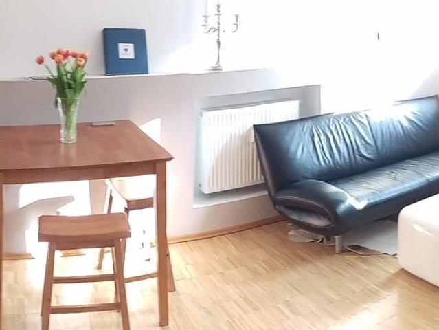 Stuttgart Downtown * FURNISHED * New 1BR Apartment Stuttgart Mitte