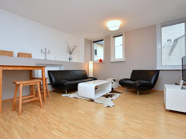 Stuttgart Downtown * FURNISHED * New 1BR Apartment Stuttgart Mitte