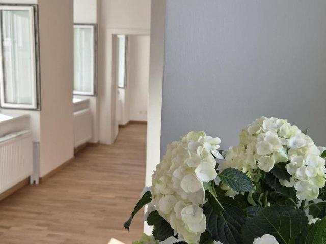 Studentenwohnung im beliebten Stuwerviertel nahe der WU Wien | Provisionsfrei! Freier Mietzins!