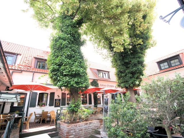 Studentenwohnungen in Junkersdorf – Sporthochschule – möbliert – Pauschalmiete
