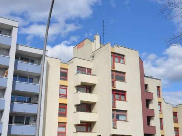 Studenten Eltern aufgepasst! Sofort beziehbare Einzimmerwohnung in Alt Reinickendorf