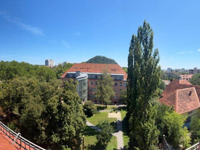 Studenten Hit in Graz Geidorf – City Loft mit Schlafgalerie und Schlossbergblick