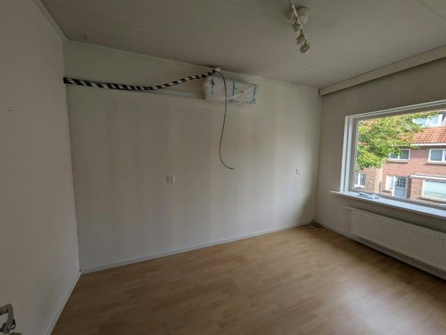 Studentenhuis zoekt student: stel je huis samen K3