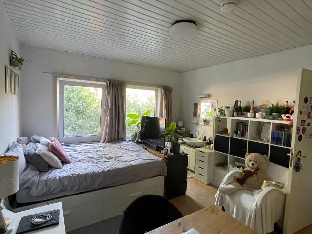 Studentenkamer centrum Eindhoven 739 euro p.m