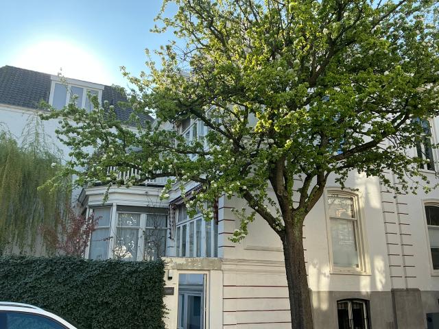Students house