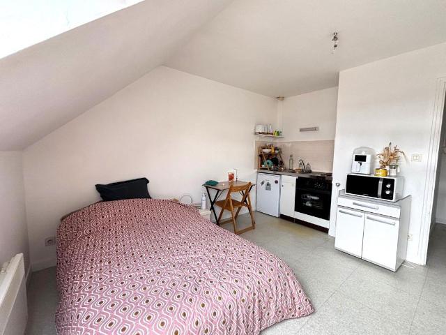 Studio 17 m²