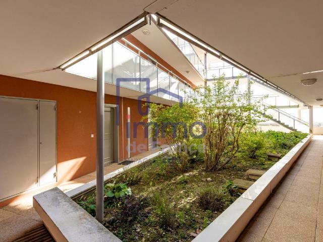 Studio 17 m²