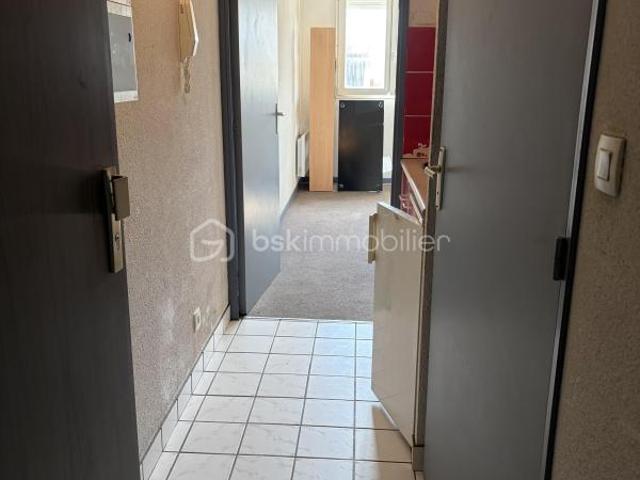 Studio 19 m²