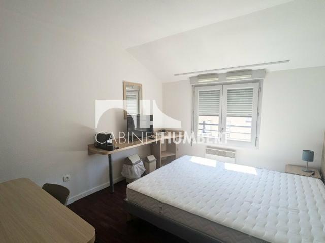 Studio 19 m²