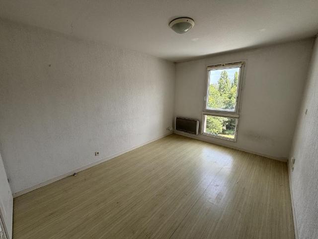 Studio 19 m²