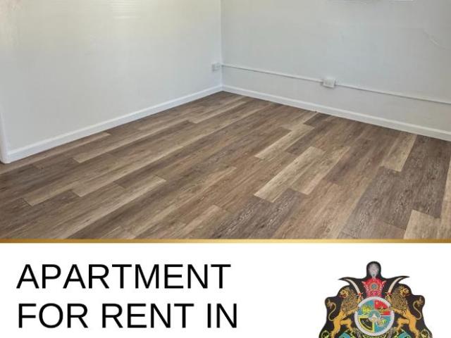 Studio, 1 bath, Apartment 1011 1013 Island Avenue