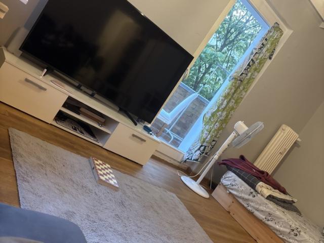 Studio 1 room apartment for sublet during December