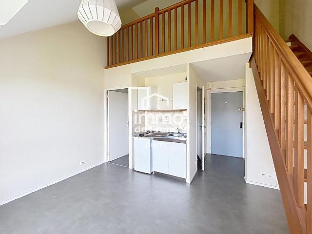 Studio 20 m²