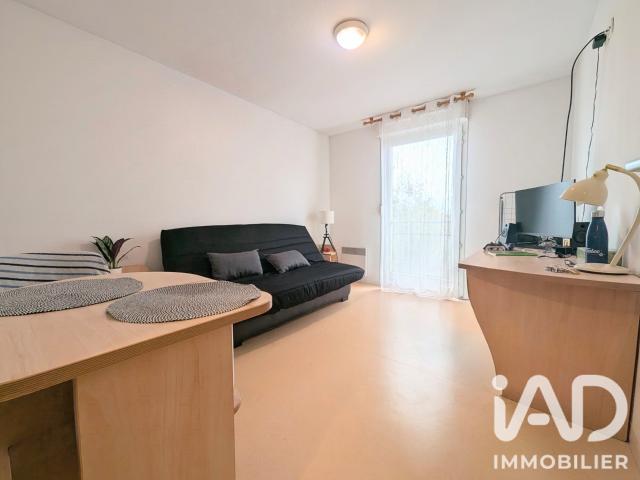 Studio 20 m²