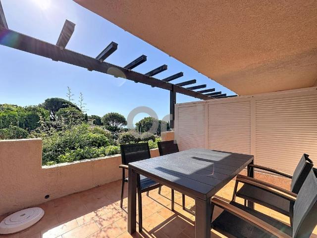 Studio 20 m²