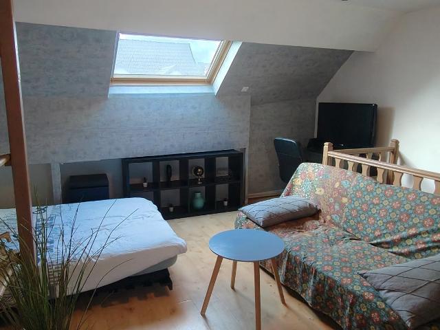 Studio 20 m²