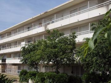 Alco, La Languedocienne Montpellier, Maurin, Hérault, Languedoc-Roussillon