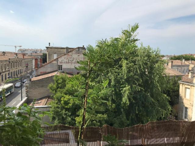 Studio 24 m²