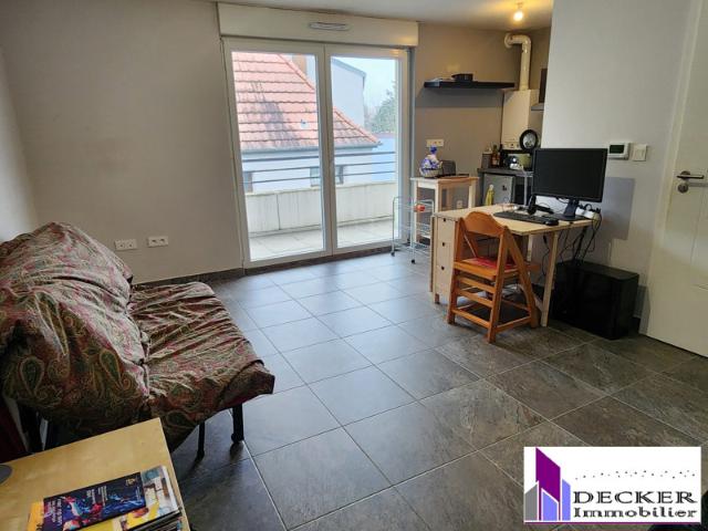 Studio 24 m² avec terrasse, cave et parking
