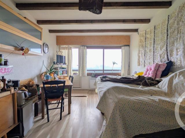 Studio 25 m²