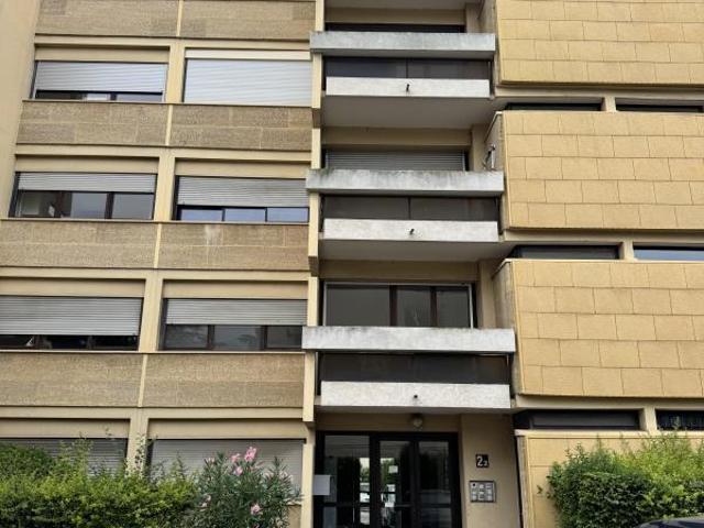 Studio 25 m²