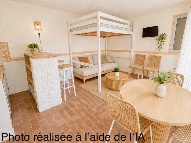 Studio 25 m²