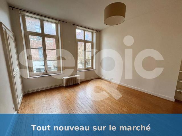 Studio 25 m²