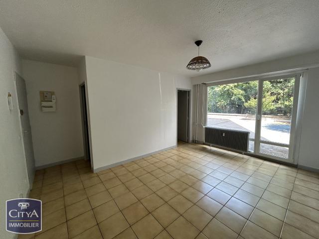 Studio 25 m²