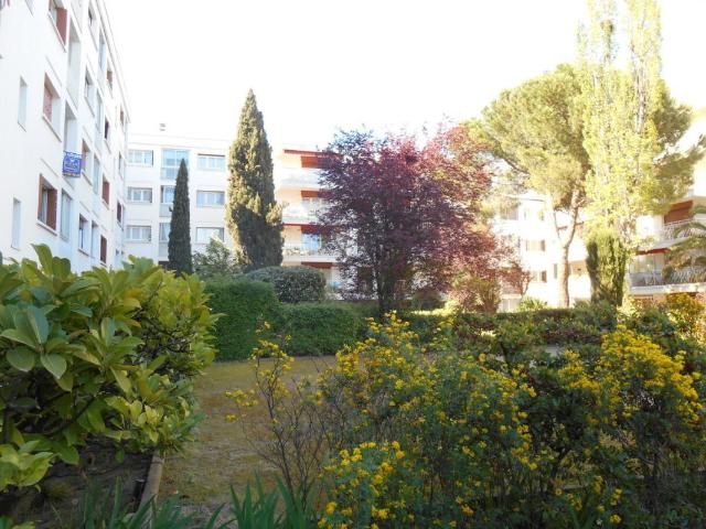 Studio 26 m²