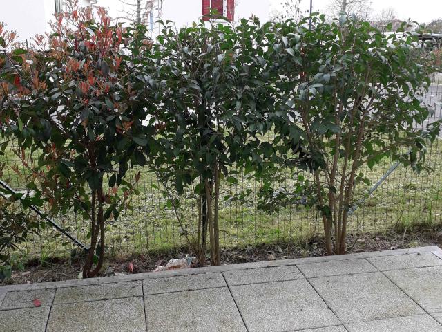 Studio · 28.48 m²