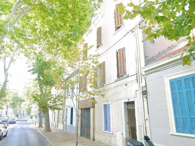 Studio 28 m²