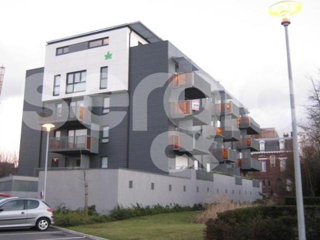 Studio 32 m²