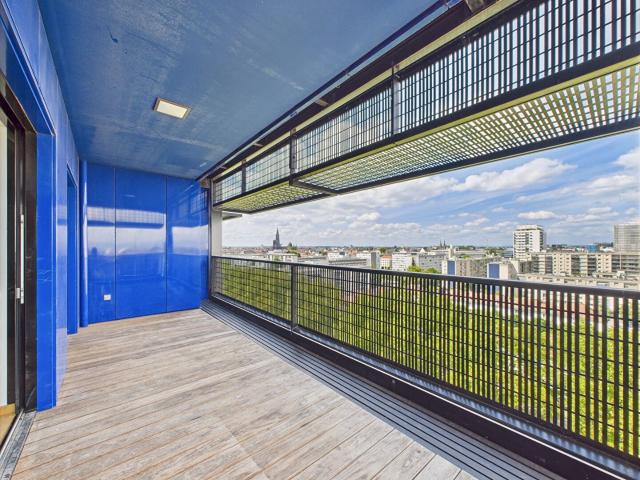 Studio 33 M² Black Swan