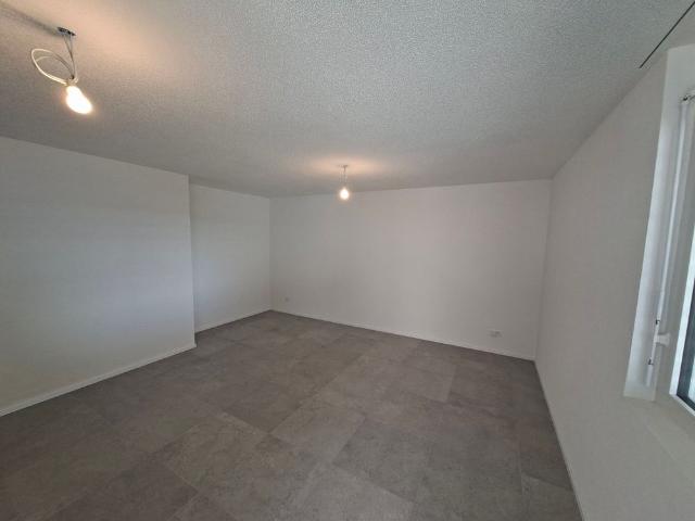 Studio 35 m2 in the basement of a villa