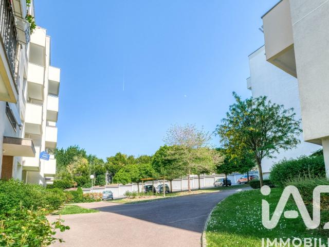 Studio 35 m²