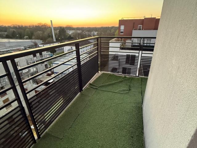 Studio 35 m²