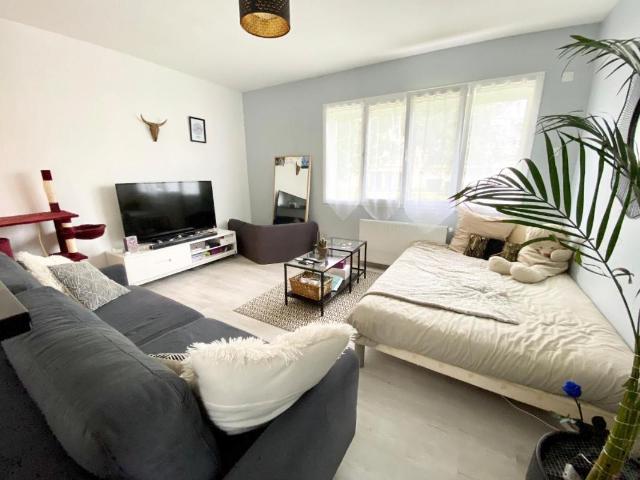 Studio 39 m²