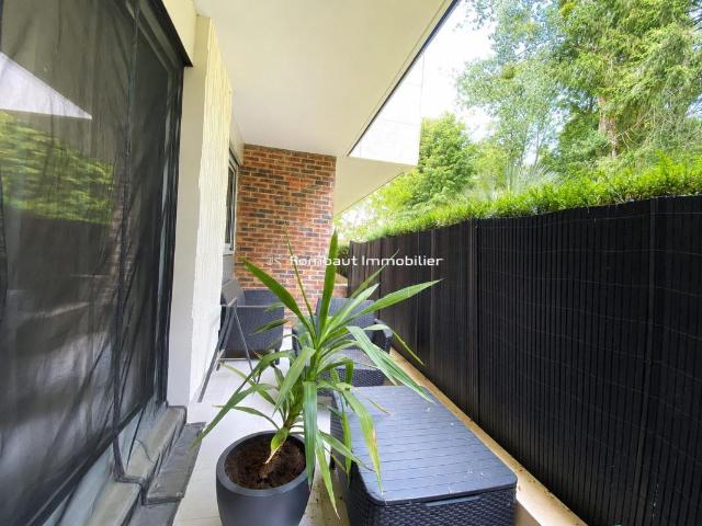 Studio 39 m²