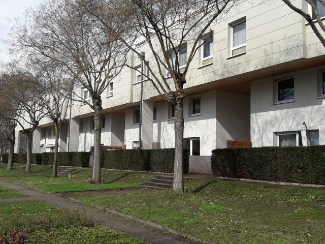 Studio · 44.28 m²