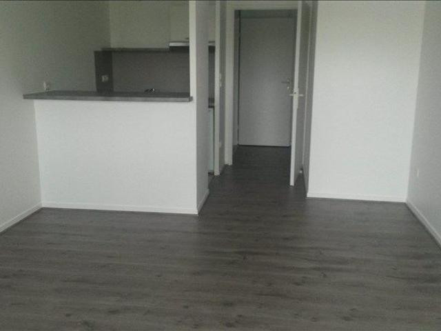 STUDIO COMPANS CAFFARELLI TOULOUSE 1 pièce s 29 m2