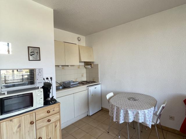 STUDIO CABINE AVEC TERRASSE ET PLACE DE PARKING