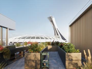 Mercier-hochelaga-maisonneuve, Montreal