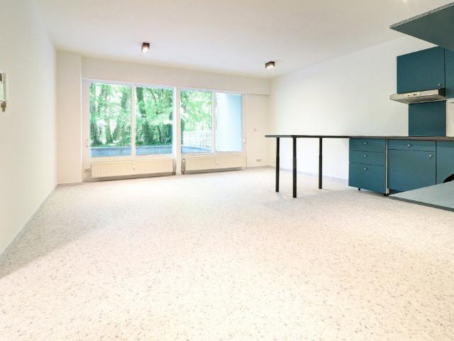 Studio à louer
